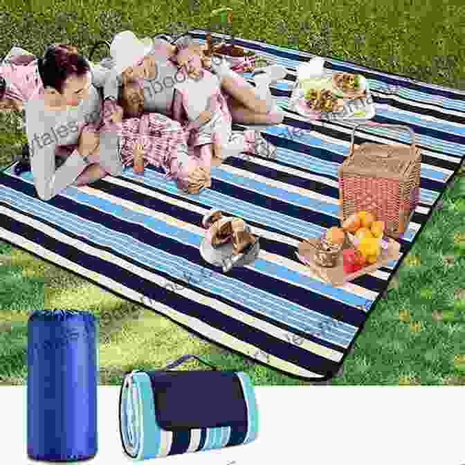 A Comfortable And Spacious Picnic Blanket Is Essential For A Relaxing Outdoor Gathering. Let S Have A Picnic Set: Plastic Canvas Pattern