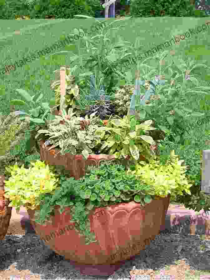 Container Garden With A Variety Of Herbs And Vegetables Greenhouse Gardening For Beginners: A Complete Guide For Inspiring Gardening Ideas And To Grow Crops All Year Around