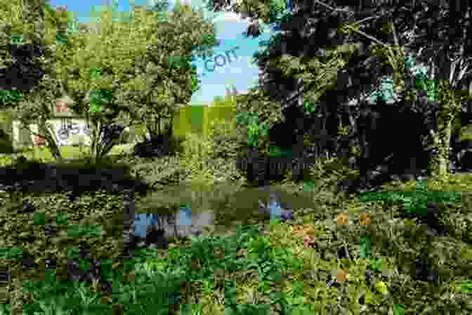 Image Showing The Misanthrope Surrounded By Lush Vegetation The Misanthrope Jorie Graham