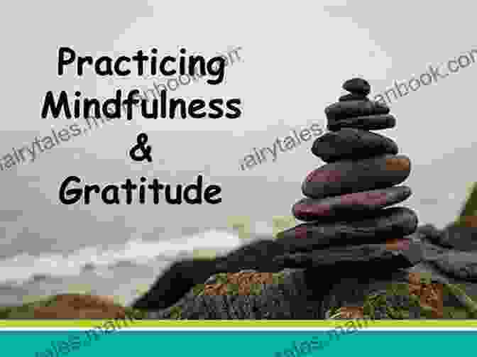 Practicing Mindfulness And Gratitude A PRACTICAL GUIDE HOW TO LIVE THE LIFE YOU DESERVE: BoxSet (3 Books) WEALTHY HEALTHY HAPPY